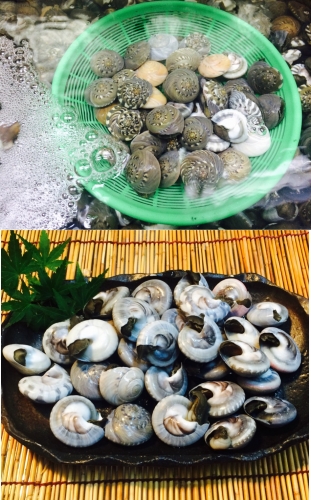 活き活き家 厚生水産(株)の様子