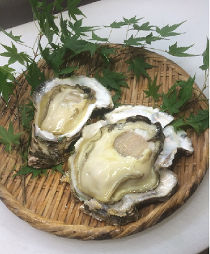 活き活き家 厚生水産(株)の様子